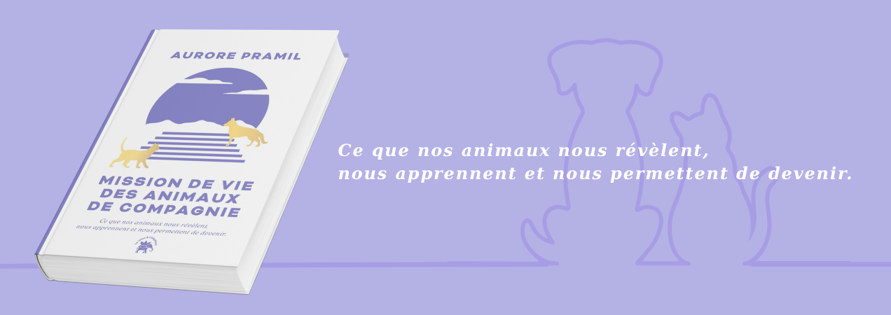 A la recherche du bonheur intérieur brut